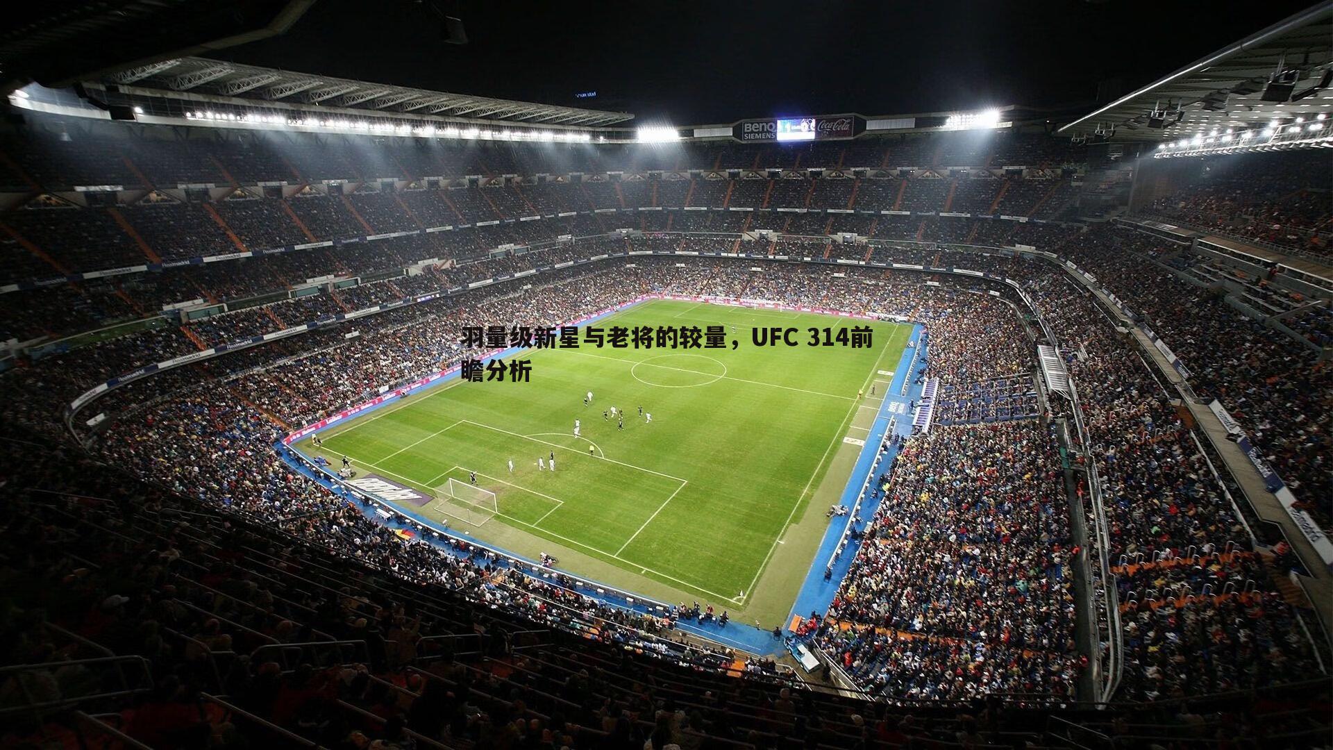羽量级新星与老将的较量，UFC 314前瞻分析